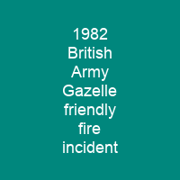 1982 British Army Gazelle friendly fire incident