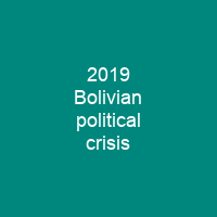 2019 Bolivian political crisis