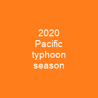 2020 Pacific typhoon season