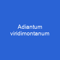 Adiantum viridimontanum