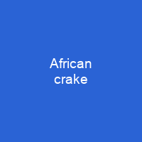 African crake