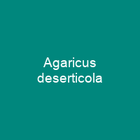 Agaricus deserticola