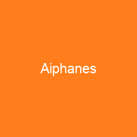 Aiphanes