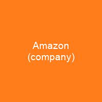 Amazon (company)