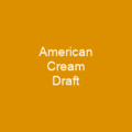 American Cream Draft