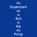 An Experiment on a Bird in the Air Pump