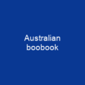Australian boobook
