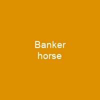 Banker horse
