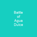 Battle of Agua Dulce