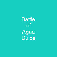 Battle of Agua Dulce
