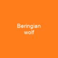 Beringian wolf