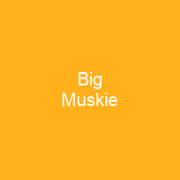 Big Muskie