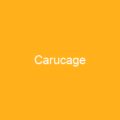 Carucage