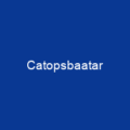Catopsbaatar