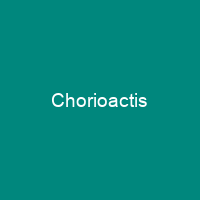 Chorioactis