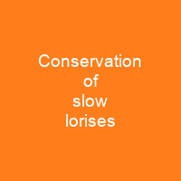 Conservation of slow lorises