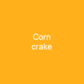 Corn crake