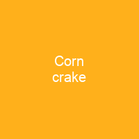 Corn crake