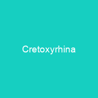 Cretoxyrhina