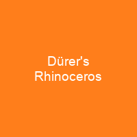 Dürer's Rhinoceros