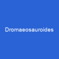 Dromaeosauroides
