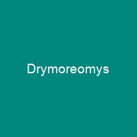 Drymoreomys