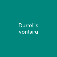 Durrell's vontsira