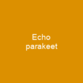 Echo parakeet