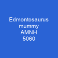 Edmontosaurus mummy AMNH 5060