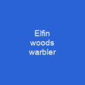 Elfin woods warbler