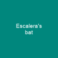 Alcathoe bat