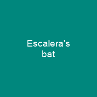 Escalera's bat