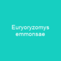 Euryoryzomys emmonsae