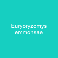 Euryoryzomys emmonsae