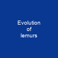 Evolution of lemurs