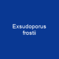 Exsudoporus frostii