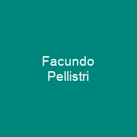 Facundo Pellistri