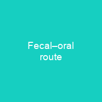 Fecal–oral route