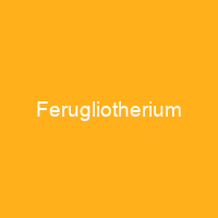 Ferugliotherium