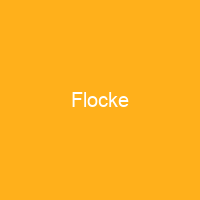 Flocke
