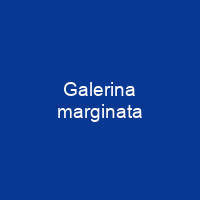 Galerina marginata