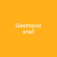 Gastropod shell