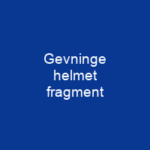 Gevninge helmet fragment