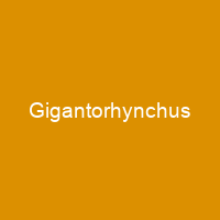 Gigantorhynchus