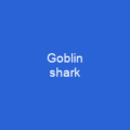 Goblin shark