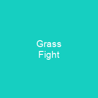 Grass Fight
