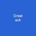 Great auk