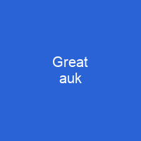 Great auk