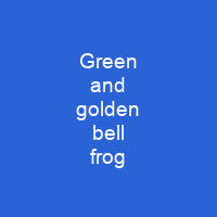 Green and golden bell frog