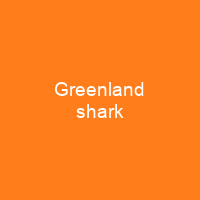 Greenland shark